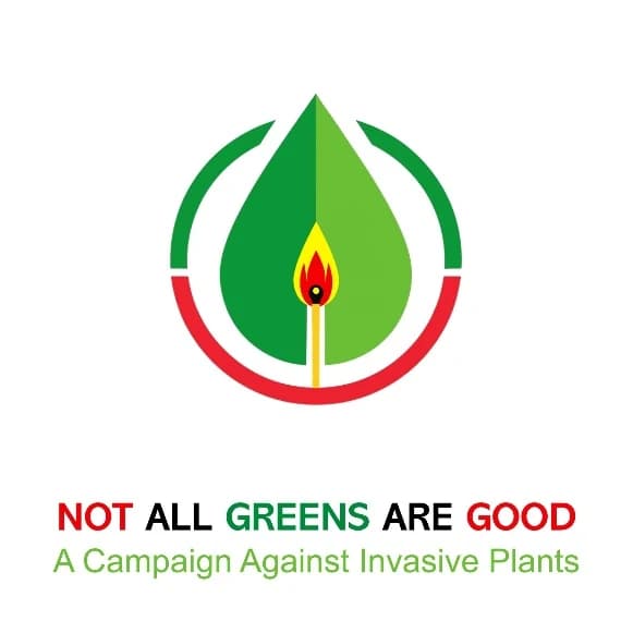 Not All Greens Are Good: A campaign against invasive plants